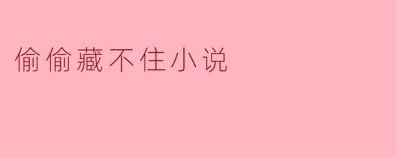 偷偷藏不住小说