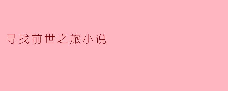 寻找前世之旅小说