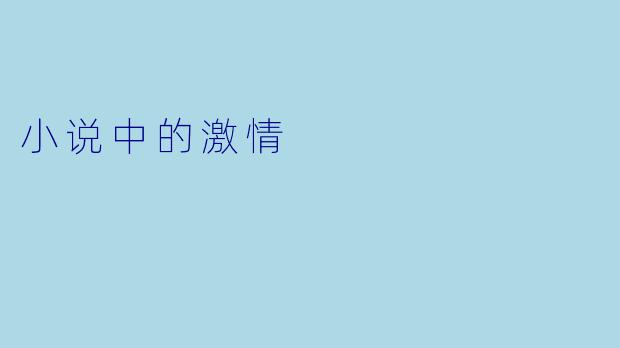 小说中的激情