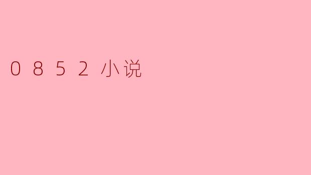 0852小说是什么样的小说？