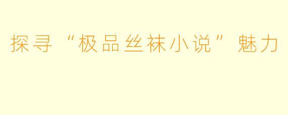 探寻“极品丝袜小说”魅力