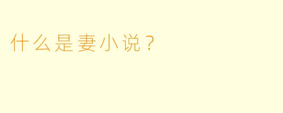 什么是妻小说？