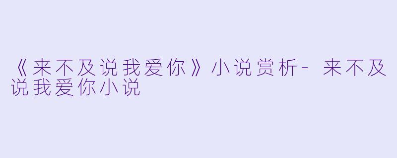《来不及说我爱你》小说赏析-来不及说我爱你小说