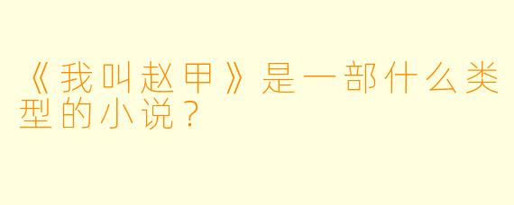 《我叫赵甲》是一部什么类型的小说？
