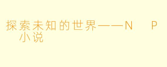 探索未知的世界——N P 小说