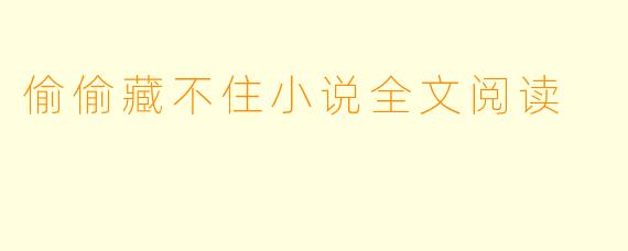 偷偷藏不住小说全文阅读