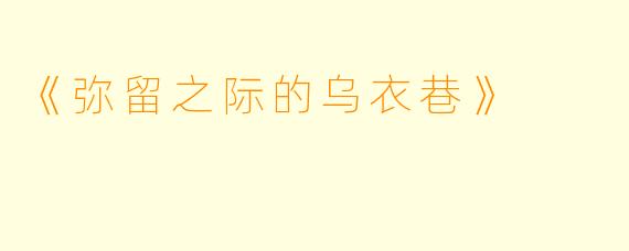 《弥留之际的乌衣巷》