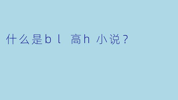 什么是bl高h小说？