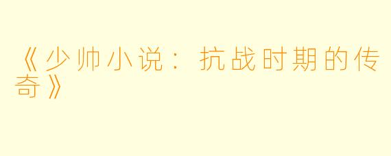 《少帅小说：抗战时期的传奇》