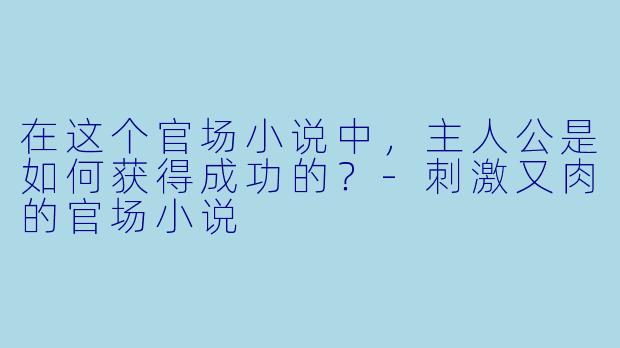 在这个官场小说中，主人公是如何获得成功的？
