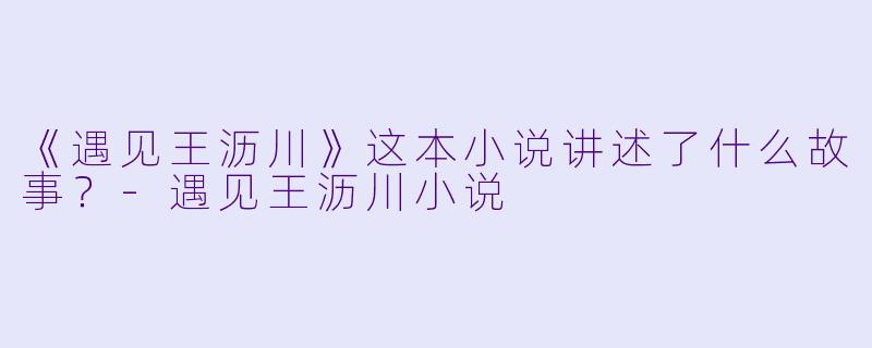 《遇见王沥川》这本小说讲述了什么故事？