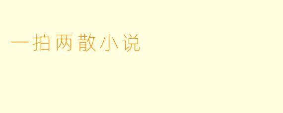 一拍两散小说