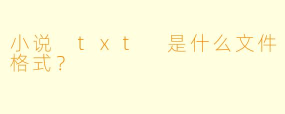 小说 txt 是什么文件格式？