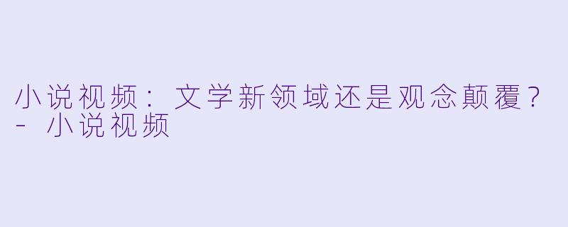 小说视频：文学新领域还是观念颠覆？-小说视频