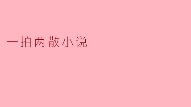 一拍两散小说