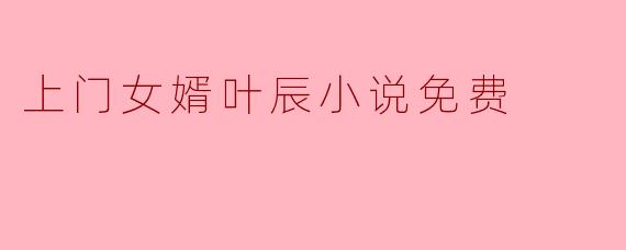 上门女婿叶辰小说免费