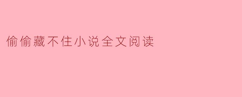 偷偷藏不住小说全文阅读