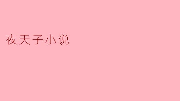 探寻夜天子小说的神秘世界