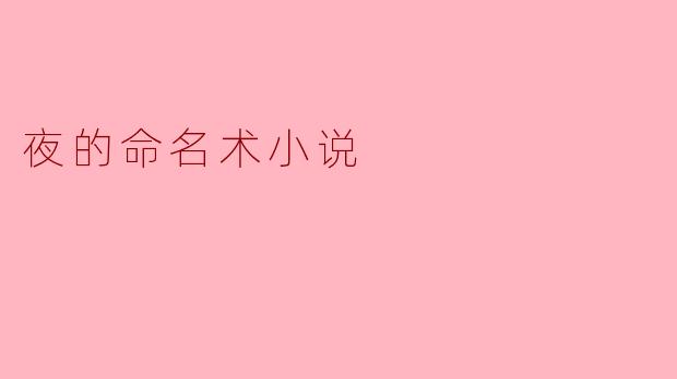 夜的命名术小说