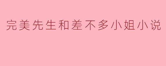 完美先生和差不多小姐小说