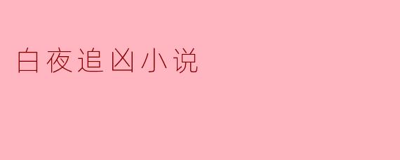 白夜追凶小说