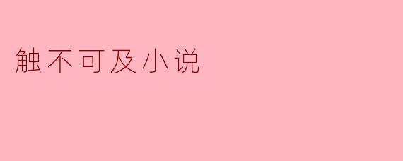 触不可及小说