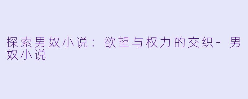 探索男奴小说:欲望与权力的交织