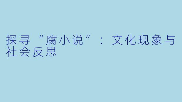 探寻“腐小说”：文化现象与社会反思