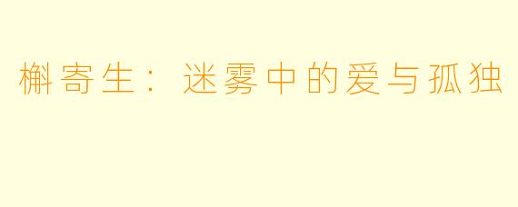 槲寄生：迷雾中的爱与孤独