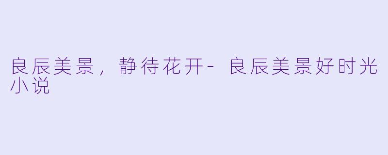良辰美景，静待花开-良辰美景好时光小说