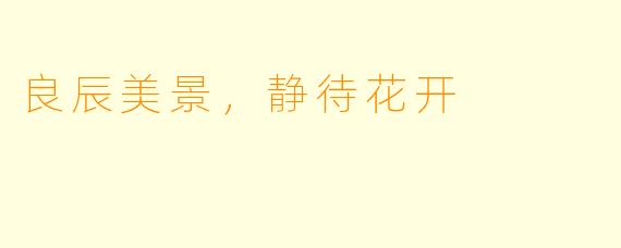良辰美景，静待花开