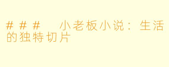 ### 小老板小说：生活的独特切片