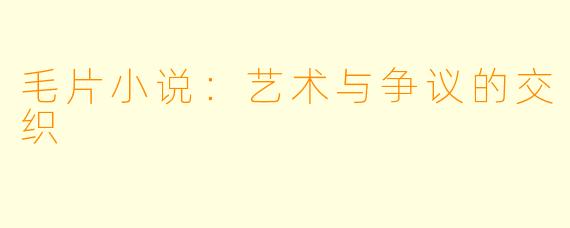 毛片小说：艺术与争议的交织