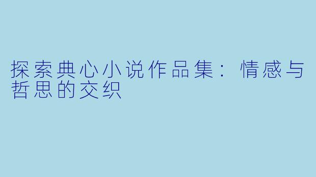 探索典心小说作品集:情感与哲思的交织