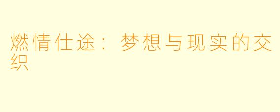 燃情仕途:梦想与现实的交织