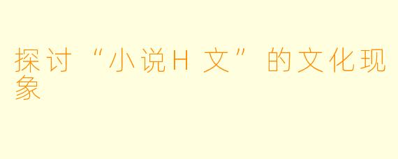 探讨“小说H文”的文化现象