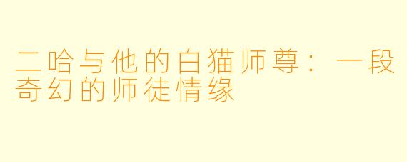 二哈与他的白猫师尊：一段奇幻的师徒情缘