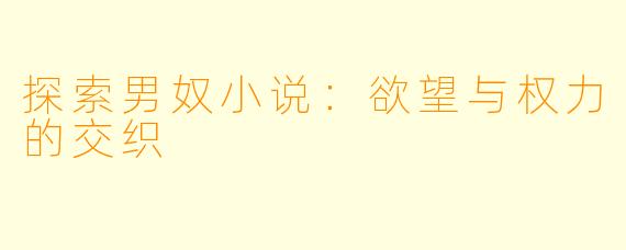 探索男奴小说：欲望与权力的交织