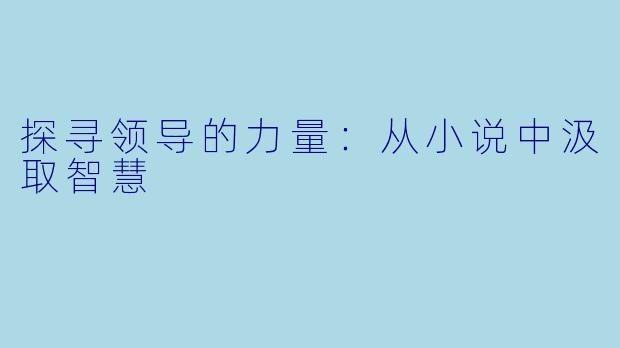 探寻领导的力量：从小说中汲取智慧