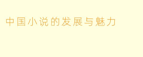 中国小说的发展与魅力