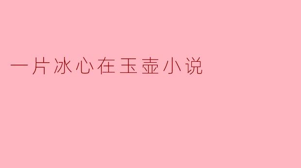 小说《一片冰心在玉壶》主要讲述了什么内容,以及它表达了怎样的情感?