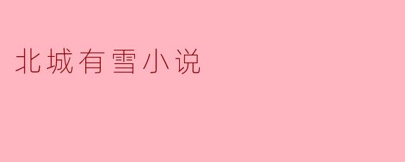 北城有雪小说