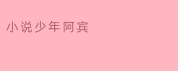 小说少年阿宾