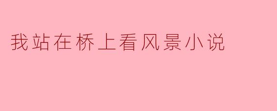 我站在桥上看风景小说