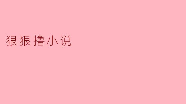 狠狠撸小说