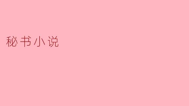 秘书小说