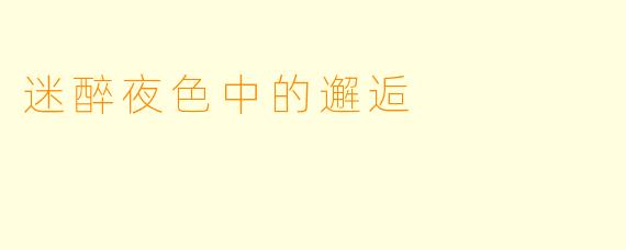 迷醉夜色中的邂逅