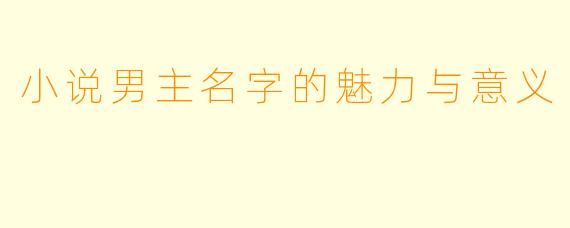 小说男主名字的魅力与意义