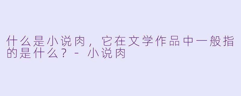 什么是小说肉,它在文学作品中一般指的是什么?
