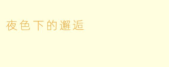 夜色下的邂逅